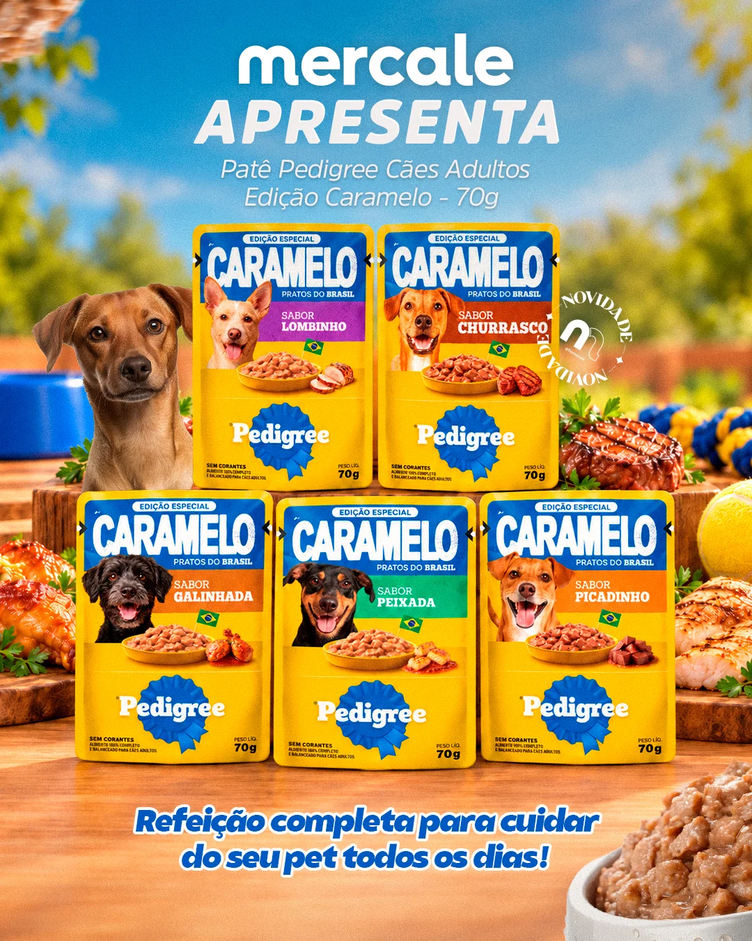 Novidade para seu melhor amigo.